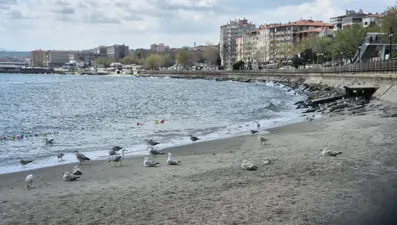 Marmara Denizi ulaşımına Poyraz engeli: Balıkçılar limana döndü