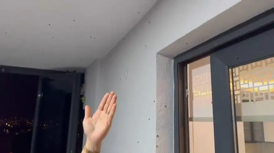 "Vampir kelebek" istilası: Bahçelerden sonra evlere de girdi 2 "Vampir kelebek" istilası: Bahçelerden sonra evlere de girdi 2