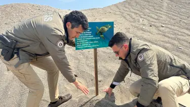 Mersin polisi caretta carettaların üreme alanlarına uyarı levhaları astı