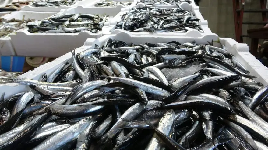 Bolluk müjdesi: Bu yıl 2 çeşit de tezgahta olacak 3