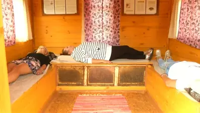 Litvanya'da arı kovanlarının bulunduğu yataklarda yatarak bel ağrısı ve yüksek tansiyonun tedavi edildiği iddia ediliyor