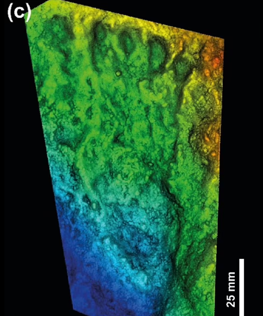 Dünyanın en eski sanat eseri bulundu: 226 bin yıllık 6