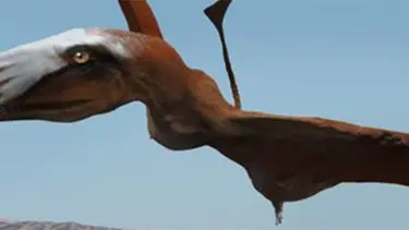 250 milyon yıllık sürüngen fosili bulundu