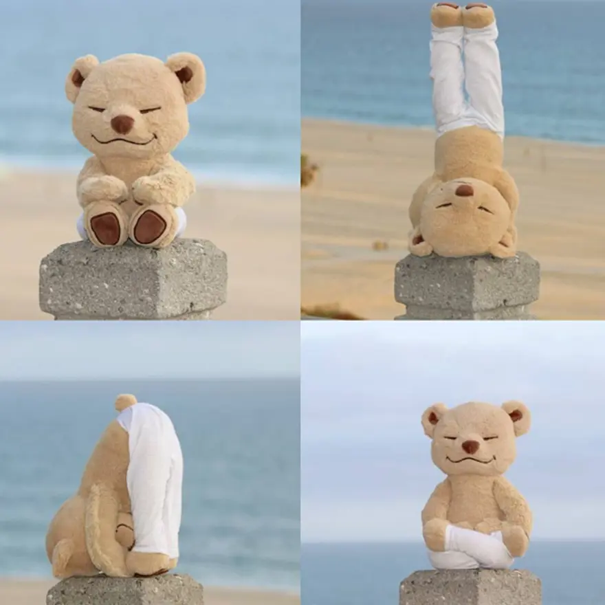 İnternetin yeni fenomeni Yogi Ayı Meddy Teddy 26