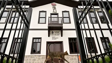 Abidin Paşa Köşkü Müzesi, Milli Mücadele tarihine ışık tutuyor