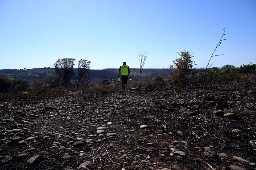 Fransa'nın güneyindeki yangın 700 hektar alanı kül etti 3