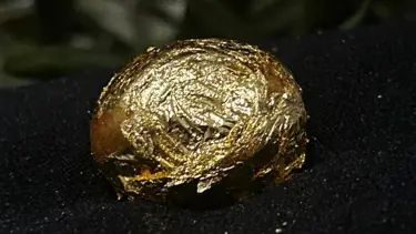 Altın zeytin görücüye çıktı