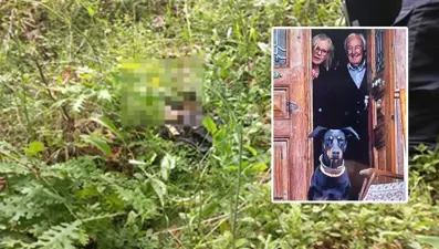 Adli Tıp incelemesi tamamlandı: Kafatası da Korhan Berzeg’eait