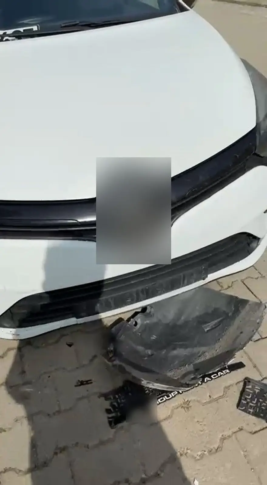 Sokak köpekleri otomobili paramparça etti: Hasarın bedelini belediyeden istedi 7 Sokak köpekleri otomobili paramparça etti: Hasarın bedelini belediyeden istedi 7