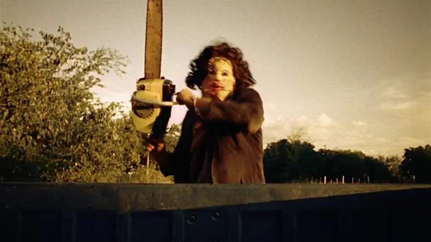 The Texas Chainsaw Massacre (1974) 2