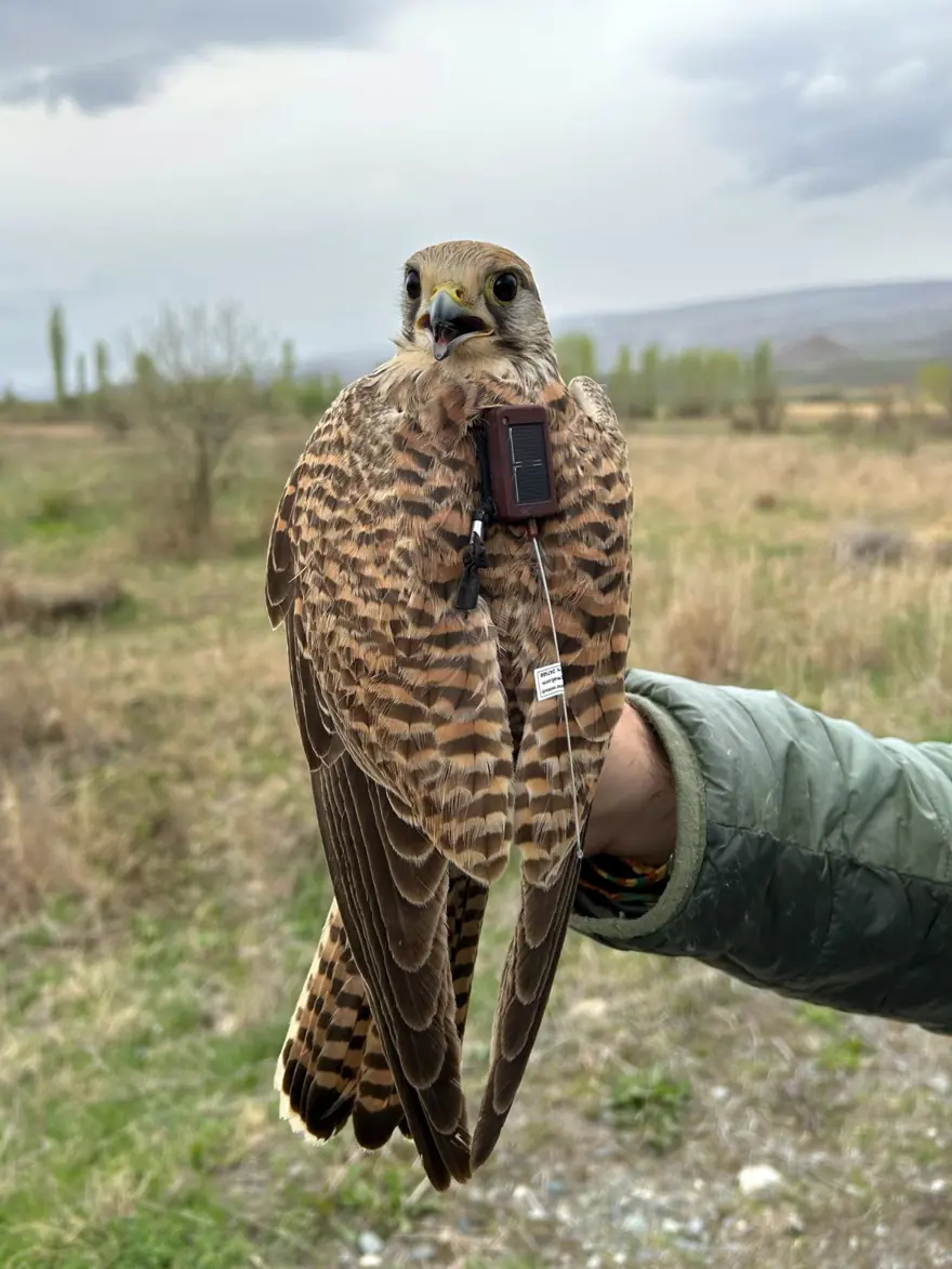 BİR GÜN SONRA ERMENİSTAN'A ULAŞTI 3