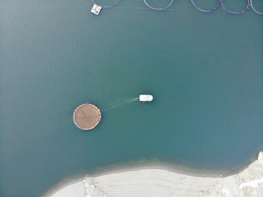 Denize kıyısı olmayan ilde 70 bin ton somon ihracatı yapıldı! Japonya, Çin ve Rusya da bizden alıyor 8