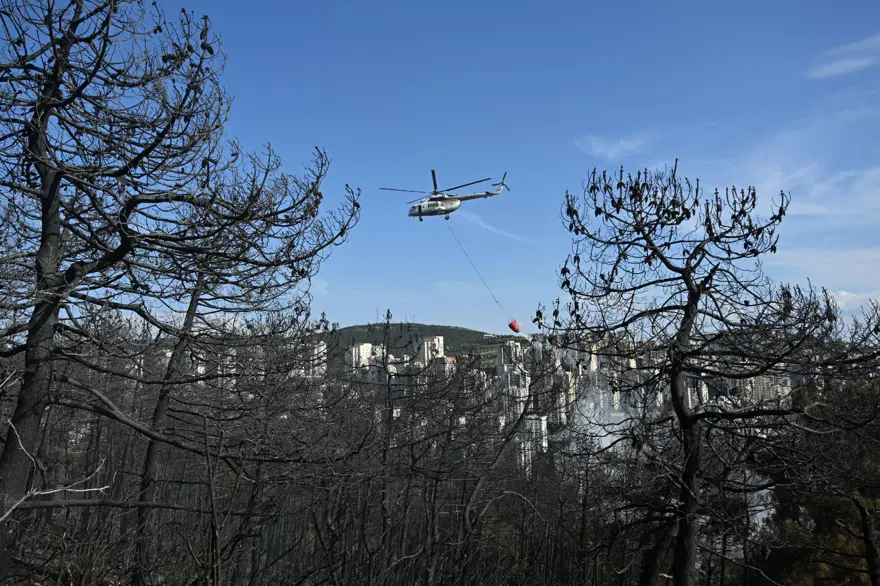 İstanbul Maltepe'de orman yangını 18