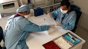 Yerli aşıda yeni gelişme: Son aşama başlıyor Yerli aşıda yeni gelişme: Son aşama başlıyor