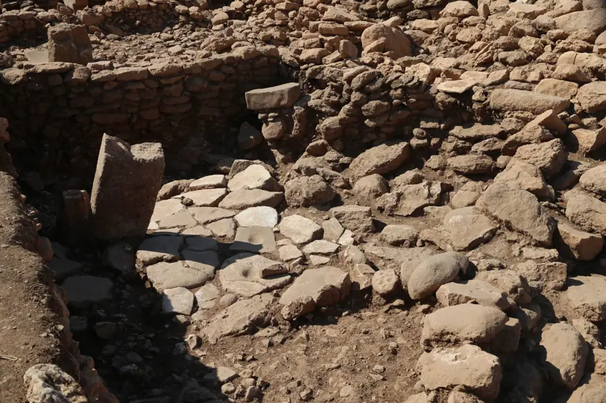 Neolitik döneme ışık tutacak! Taşta 11 bin yıllık eşek çizimi 16