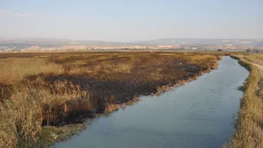 Koruma altındaki Göksu Deltası'nda çıkan yangın kendiliğinden söndü