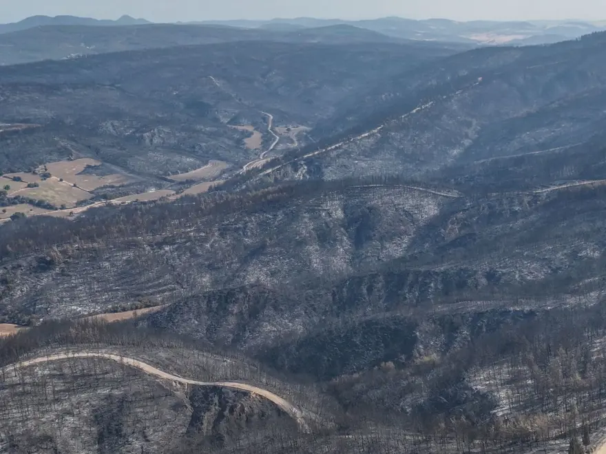 Çanakkale'de yeşil, griye döndü! Gelibolu'da yanan alanlardan can yakan görüntü 2