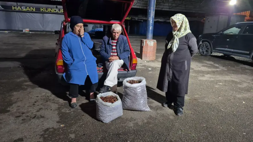 Bir çuvalı 22 bin TL'ye satıldı: 2 kişi 5 günde toplamış 