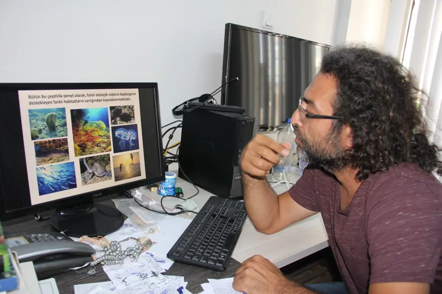 İnsanlık, tarihte ilk kez bir denizin değişimine tanıklık ediyor: Akdeniz tropikleşiyor 8