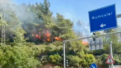 Bodrum orman yangını kontrol altına alındı