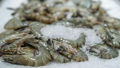 Dondurucudan çıkarıp hemen pişirmeyin: Bu 5 gıda zehre dönüşüyor