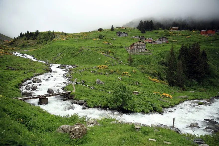 elevit yaylası, doğu karadeniz yaylaları, rize yaylaları, en güzel yaylalar 16