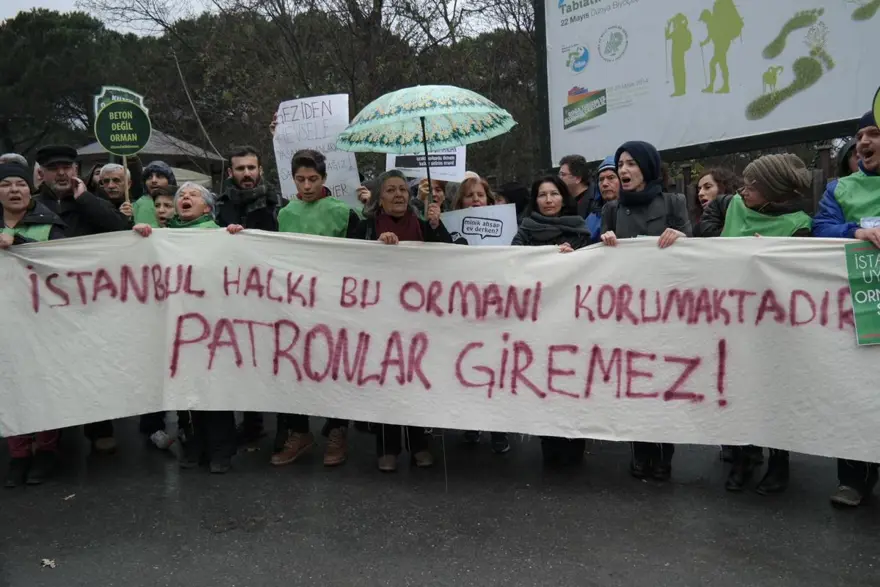 Fatih Ormanı için eylem 2