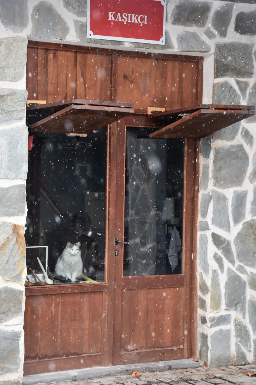 "Süslü Badegül" esnafın maskotu oldu: "Artık evi burası oldu" 2