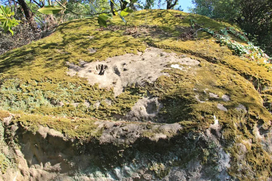 "RESTORE EDİLMESİNİ BEKLİYORUZ" 6