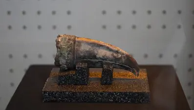 Antik uygarlığa ışık tutacak: 5 bin yıllık soylu kadın mezarı bulundu!