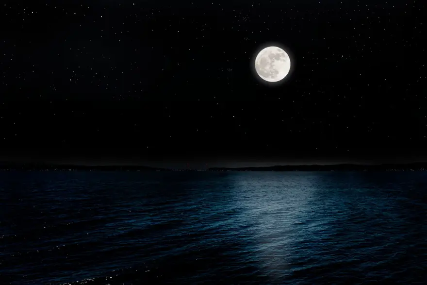 dalyan gezi rehberi, dalyan'da ne yapılır, dalyan gezilecek yerler, dalyan rehberi 6 dalyan gezi rehberi, dalyan'da ne yapılır, dalyan gezilecek yerler, dalyan rehberi 6