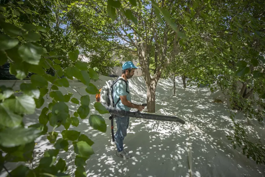 Coğrafi işaretli "Ulukale Dutu" geçim kaynağı oldu! Güneşin karşısında kurutuluyor, elekten geçirilerek hazırlanıyor 18