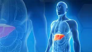 Diğer canlılardan karaciğer nakli için çalışma yapılacak Diğer canlılardan karaciğer nakli için çalışma yapılacak