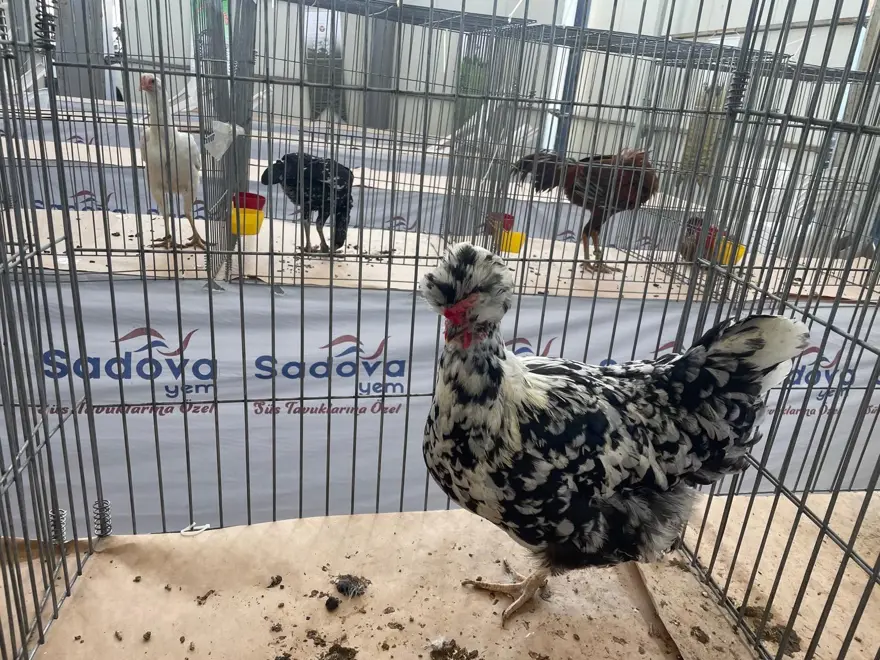 TESCİL ÇALIŞMALARI 1 TESCİL ÇALIŞMALARI 1