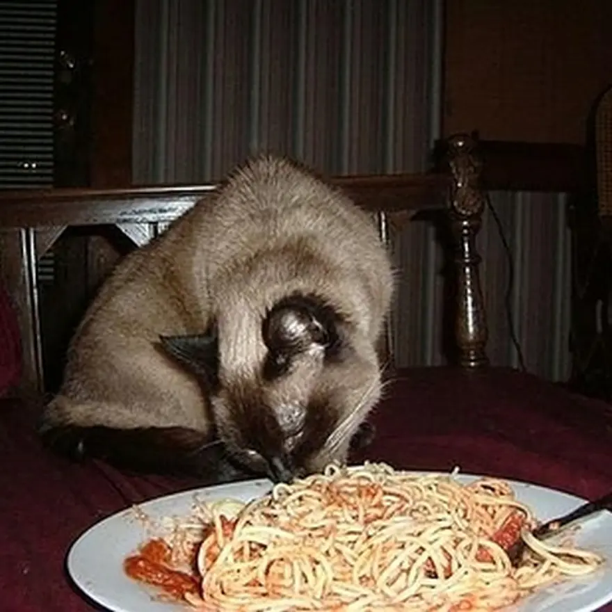 Poz verme sanatı 41