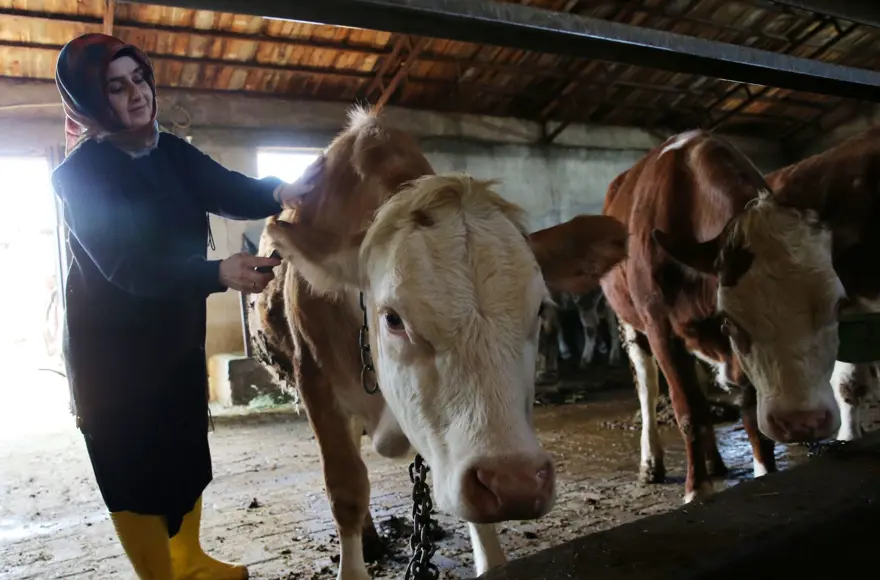 250 bin lira hibe desteğiyle 2 yılda 6'ya katladı: Üretip tüm ilçeye satıyorlar 7