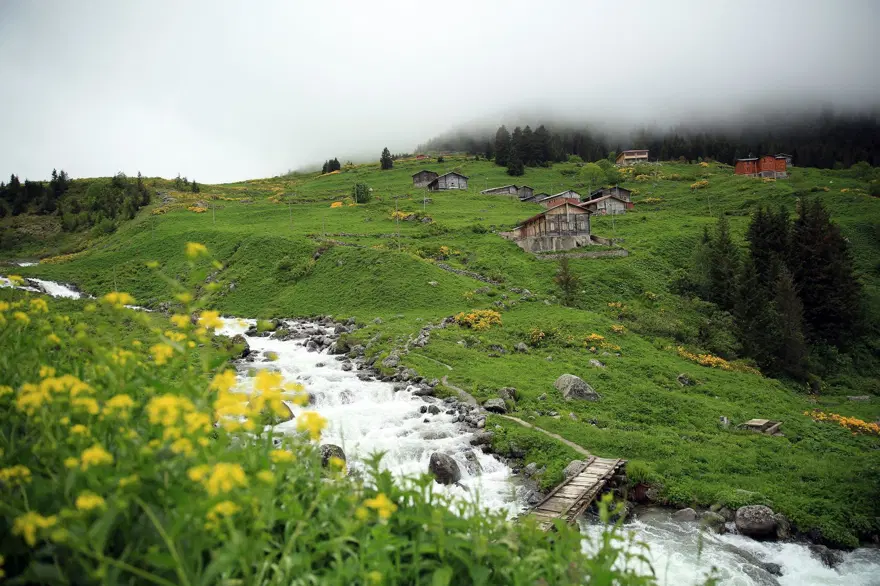 elevit yaylası, doğu karadeniz yaylaları, rize yaylaları, en güzel yaylalar 5