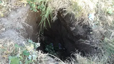 Malatya'da kayısı bahçesinde obruk oluştu