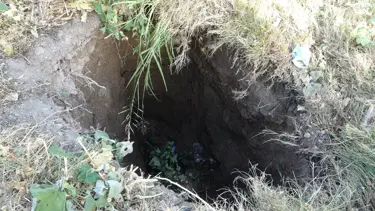 Malatya'da kayısı bahçesinde obruk oluştu