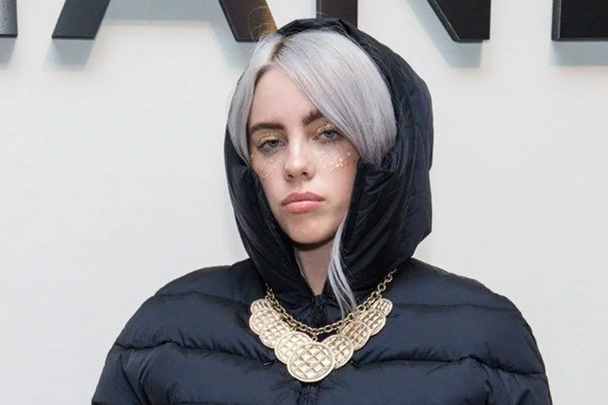 Billie Eilish'ten takıntılı hayranına 5 yıllık uzaklaştırma kararı 4