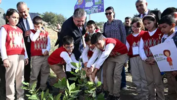 Öğretmenler Günü için hatıra ormanına 500 fidan dikildi 