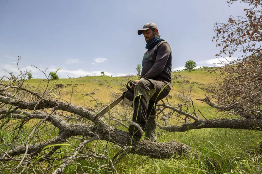 Ekmeklerini mangal kömüründen çıkarıyorlar 3