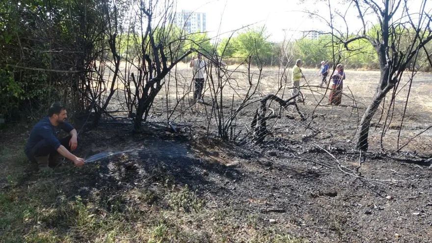 Çöpleri yakmak istedi: Meyve bahçelerini küle çevirdi 1 Çöpleri yakmak istedi: Meyve bahçelerini küle çevirdi 1