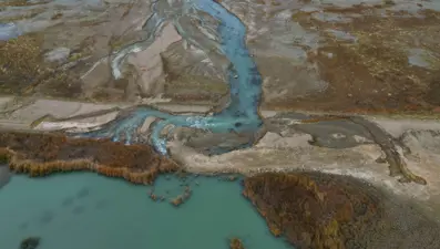 Van'da doğal akışı değiştirilen Dilkaya Deltası yok oluyor: 450'ye yakın kuş türüne ev sahipliği yapıyor