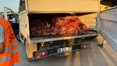 Adana'da mide bulandıran görüntü: 3 ton tek tırnaklı eti ele geçirildi