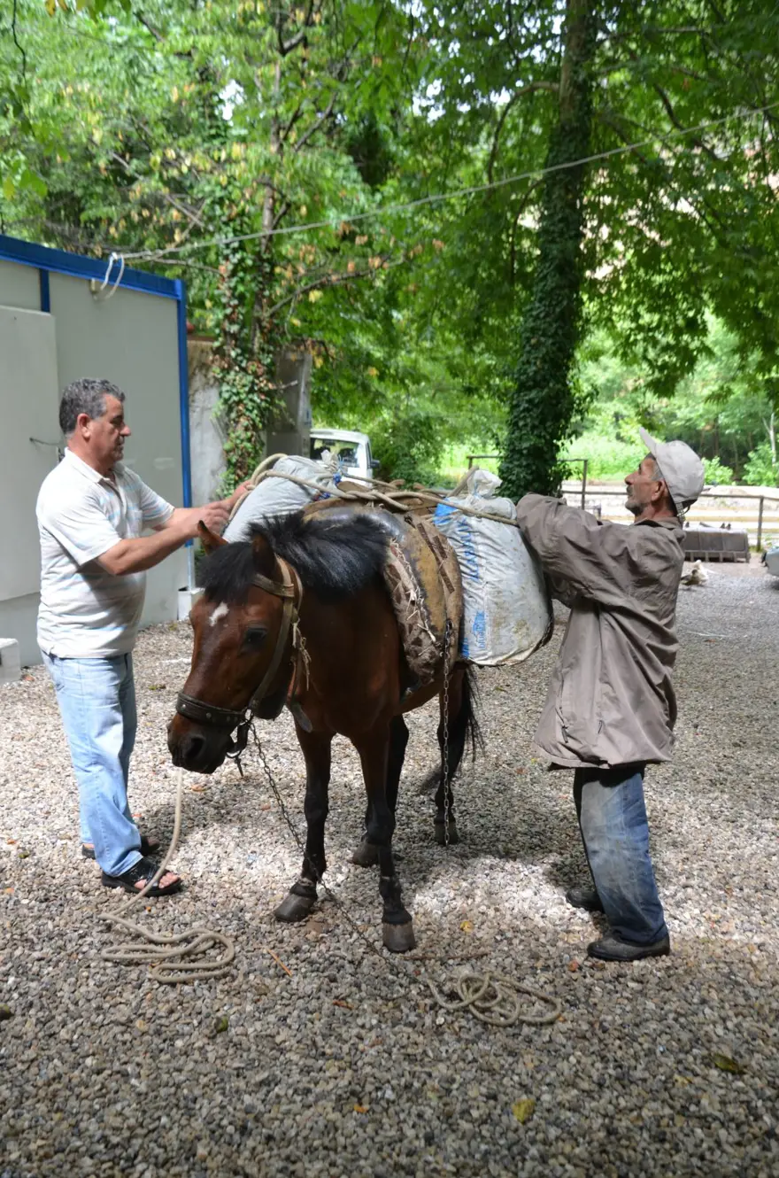 Bin rakımlı tepede zamana meydan okuyan 9 asırlık su değirmeni 9