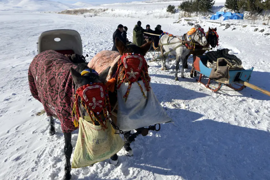 Donan Çıldır Gölü'nde balık tutuyorlar 7