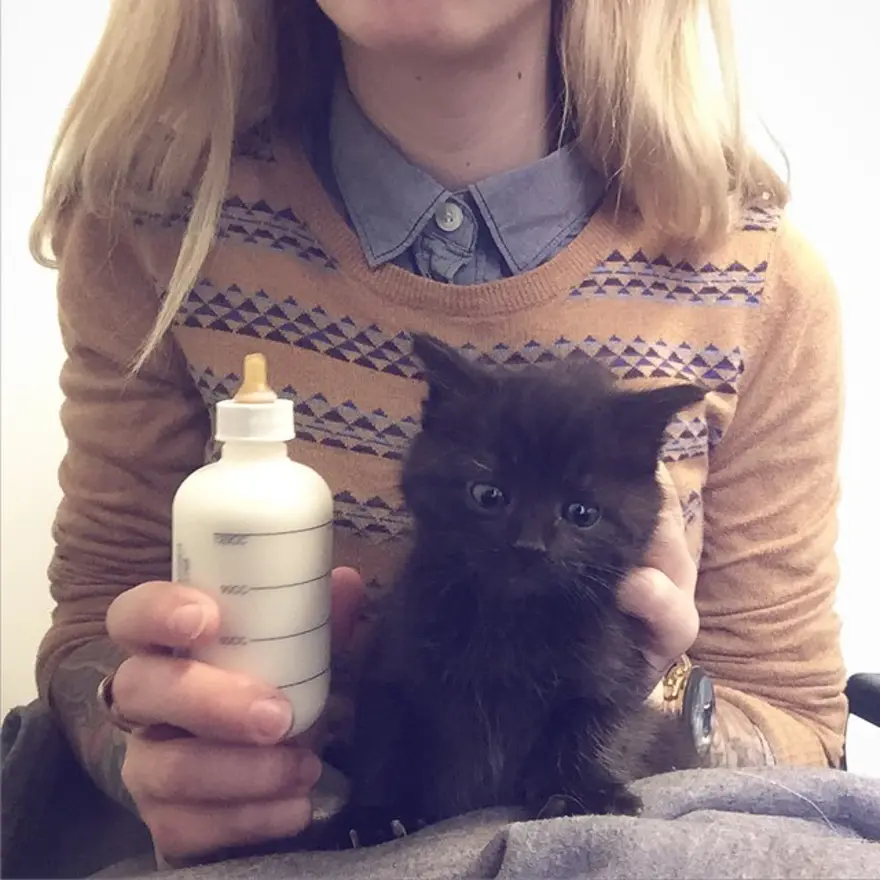 Hayatını kedileri kurtarmaya adadı 162