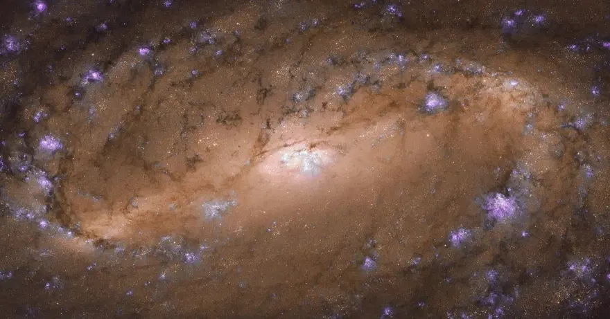 NASA'dan 'Kelebek Nebula' paylaşımı 35