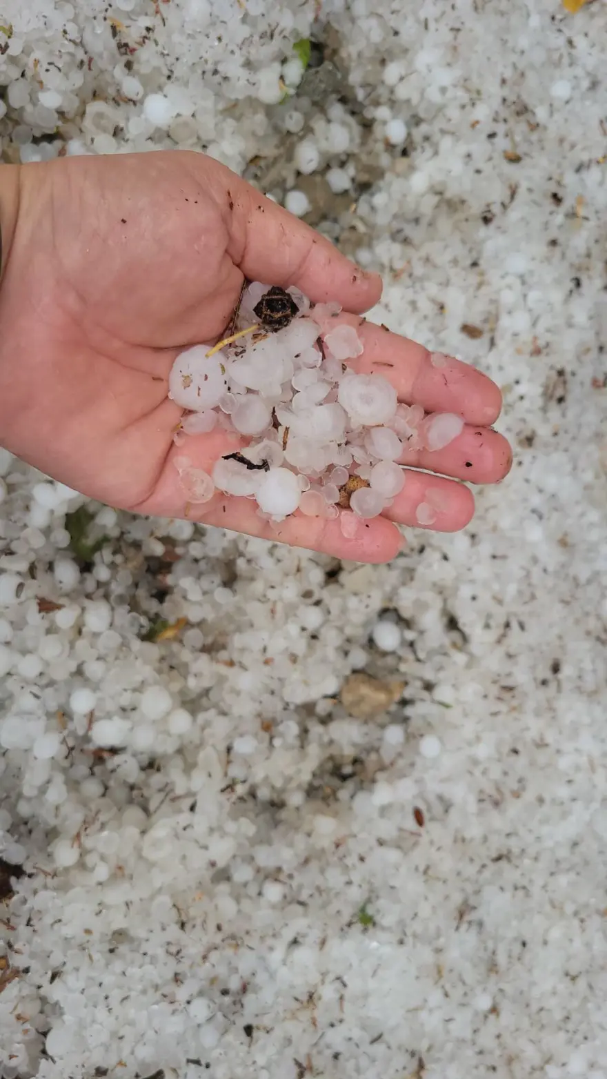 ADIYAMAN'DA DOLU YAĞIŞI 19